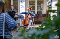 Festival varaždinskih dvorišta 2025 tzgv (2)