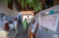 Festival varaždinskih dvorišta 2025 tzgv (23)