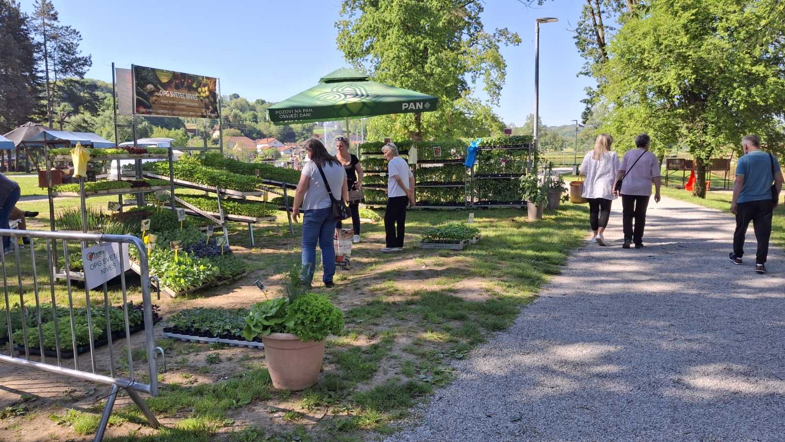 Flora centrum mundi (4)