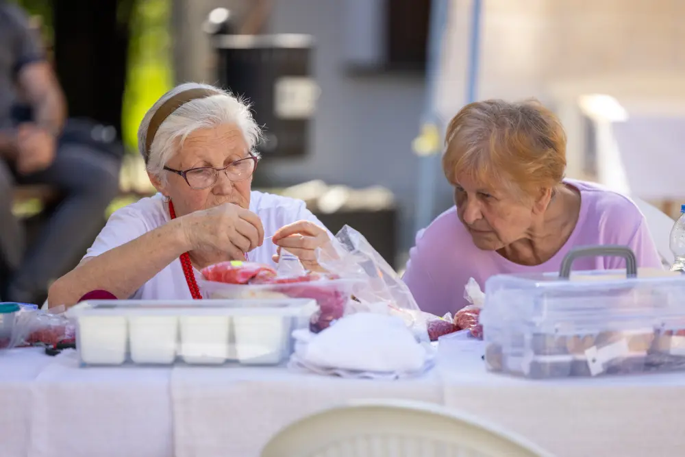 FolkoFonija45 FolkoFonija45