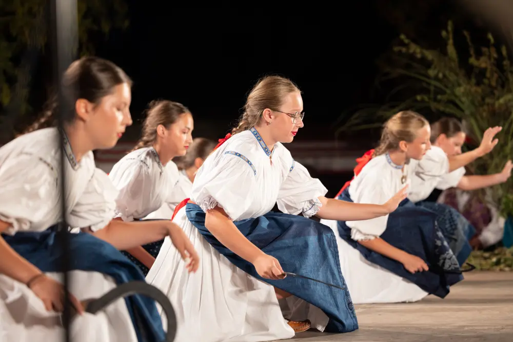 FolkoFonija61 FolkoFonija61