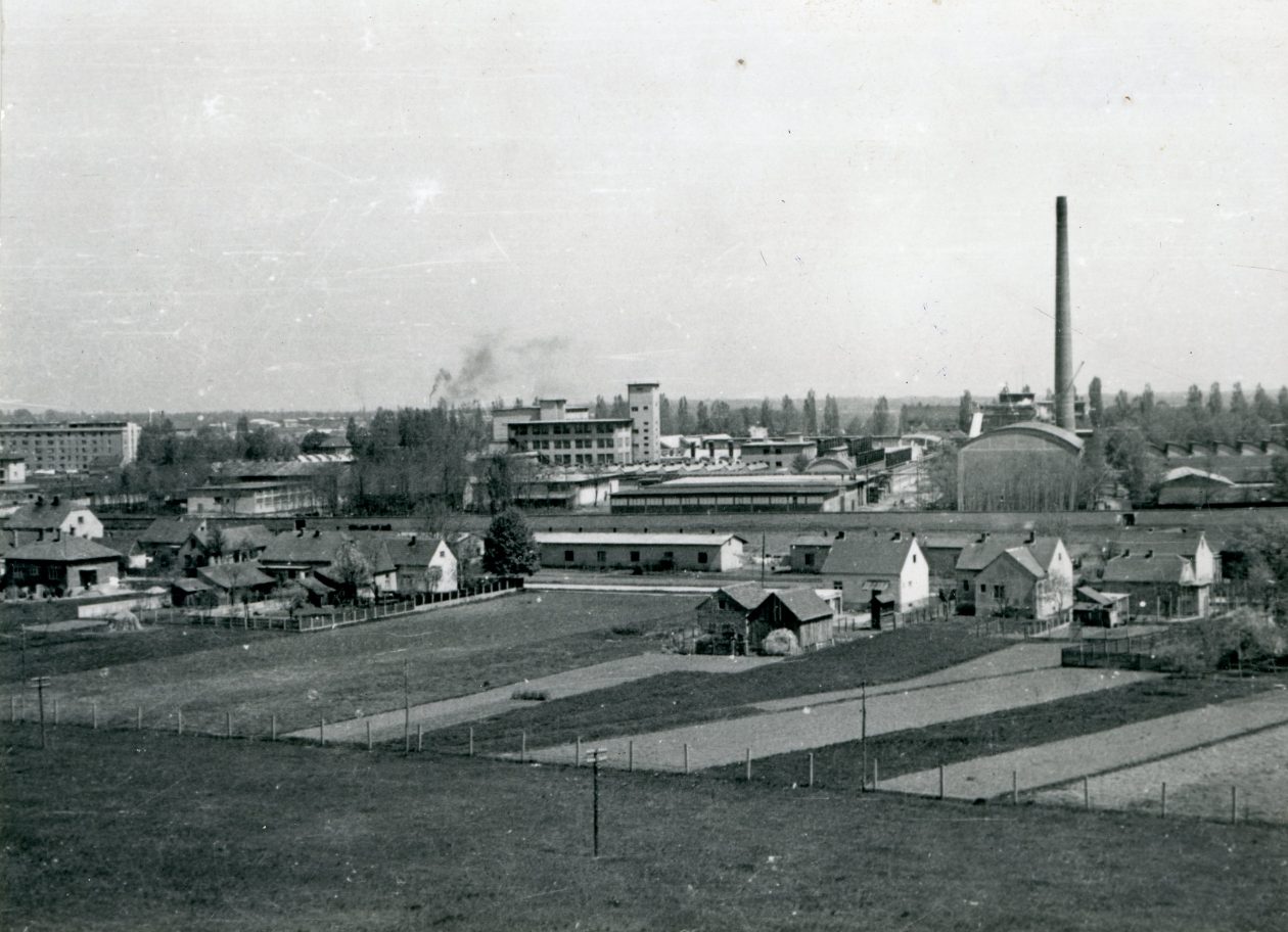 Foto-Dragutin Trglavćnik, Biškupečka 1950., GMV 93138 Foto-Dragutin Trglavćnik, Biškupečka 1950., GMV 93138