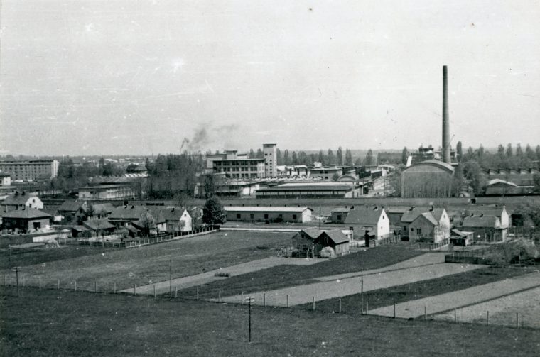 Foto-Dragutin Trglavćnik, Biškupečka 1950., GMV 93138 Foto-Dragutin Trglavćnik, Biškupečka 1950., GMV 93138