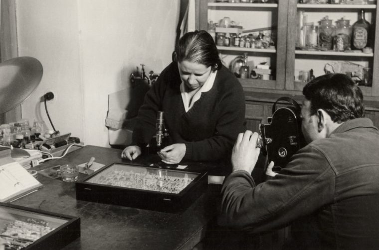 ružica košćec gmv