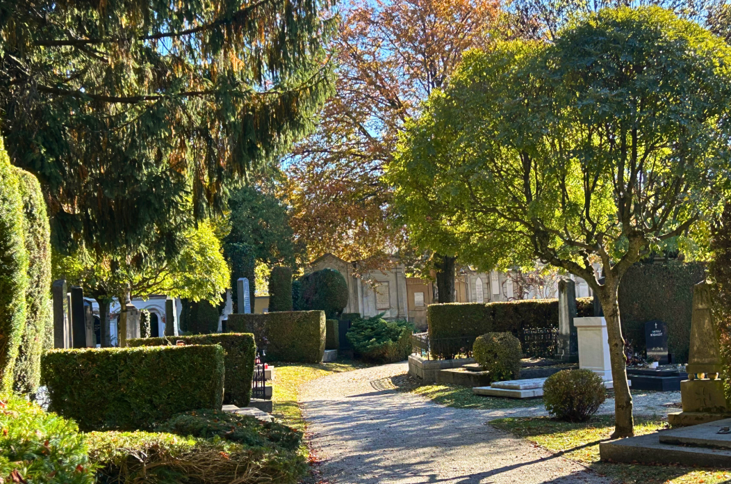 parkovi groblje parkovi groblje