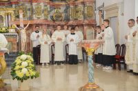 Holwyin Varaždin misa procesija svijeće molitva krunica (56) Holwyin Varaždin misa procesija svijeće molitva krunica (56)