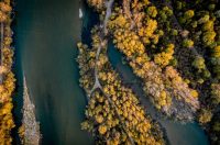 ILUSTRACIJA_drava_priroda