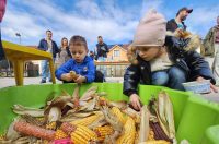 IMG-5db2ea299dda0f3a6a9282e794460631-V IMG-5db2ea299dda0f3a6a9282e794460631-V