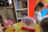 IMG-8fb82e31a7571cc1ebd0a950f8c04a9c-V