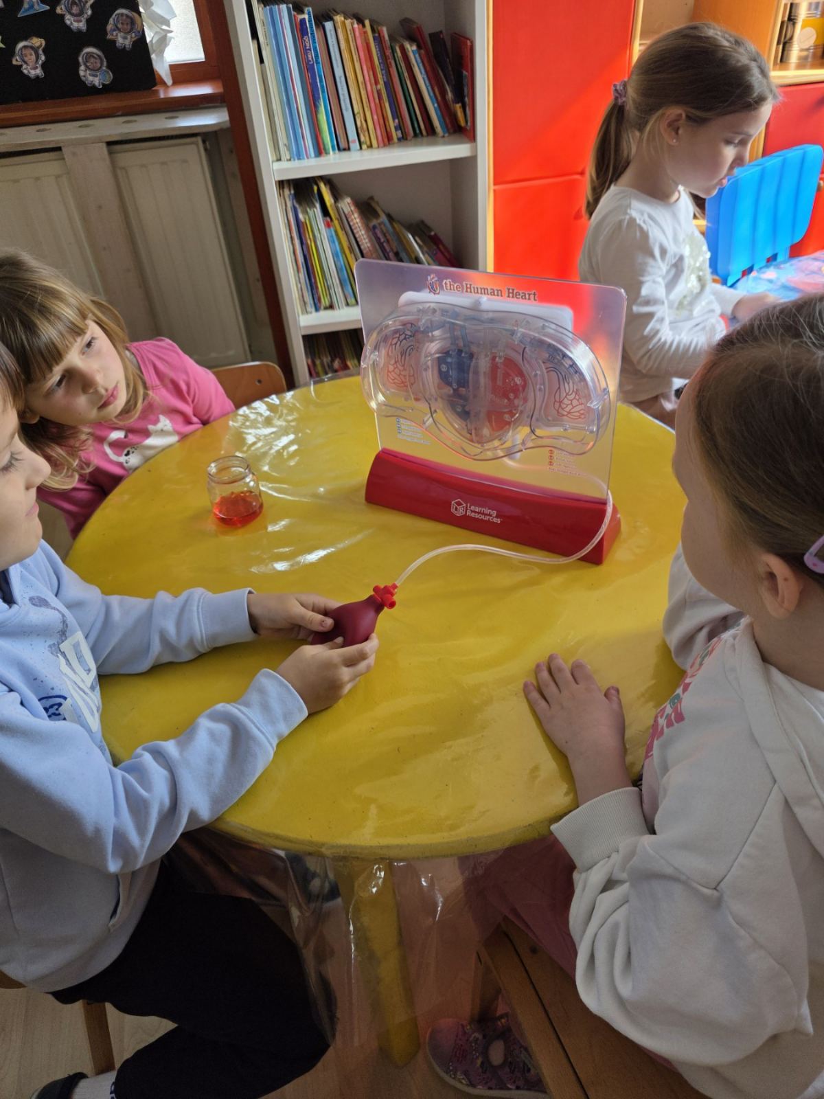 IMG-8fb82e31a7571cc1ebd0a950f8c04a9c-V