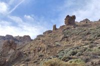 IMG-9c53512d4ca3c9ab23bc4e92d2d4977c-V IMG-9c53512d4ca3c9ab23bc4e92d2d4977c-V