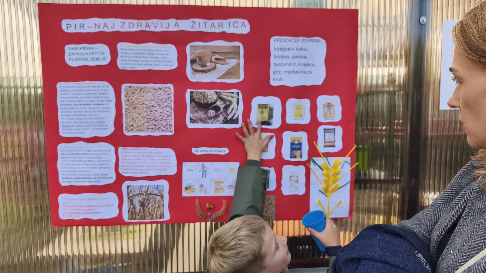 IMG-e092b71d18d80f691a36502adb2a1042-V IMG-e092b71d18d80f691a36502adb2a1042-V