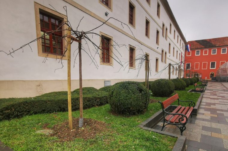 IMG_20251203_141519-01 IMG_20251203_141519-01