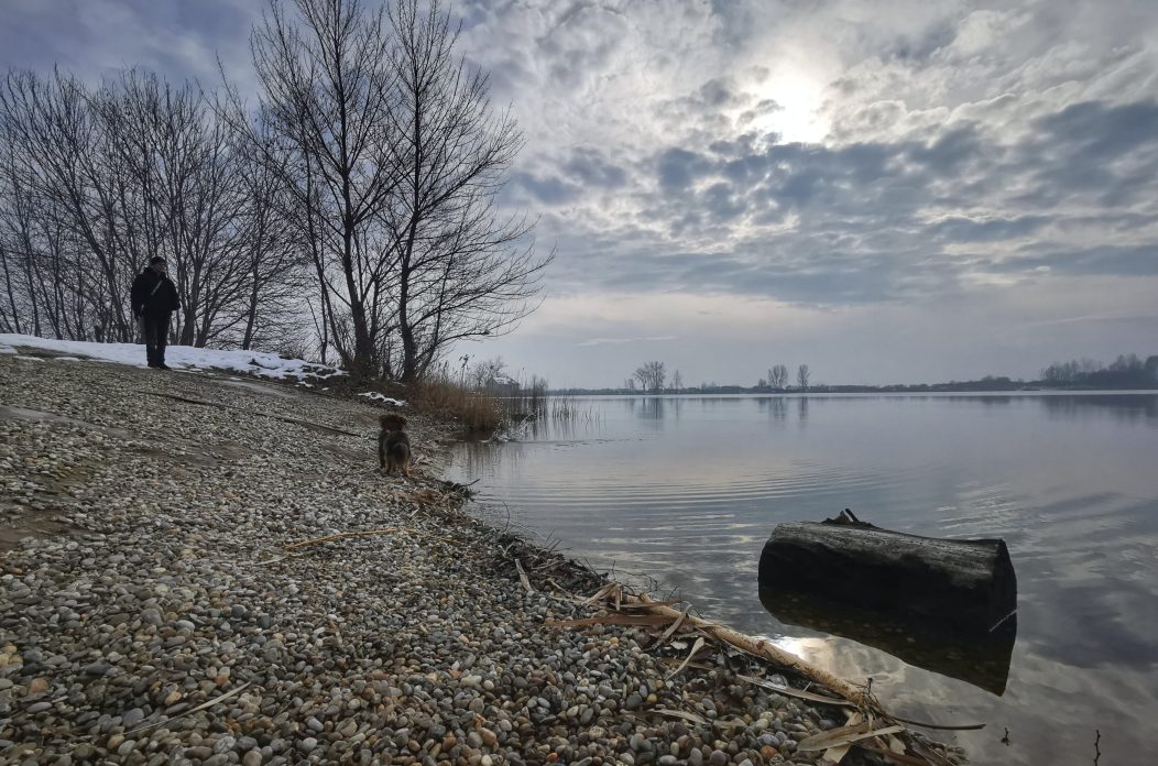 IMG_20260124_130128-01 IMG_20260124_130128-01