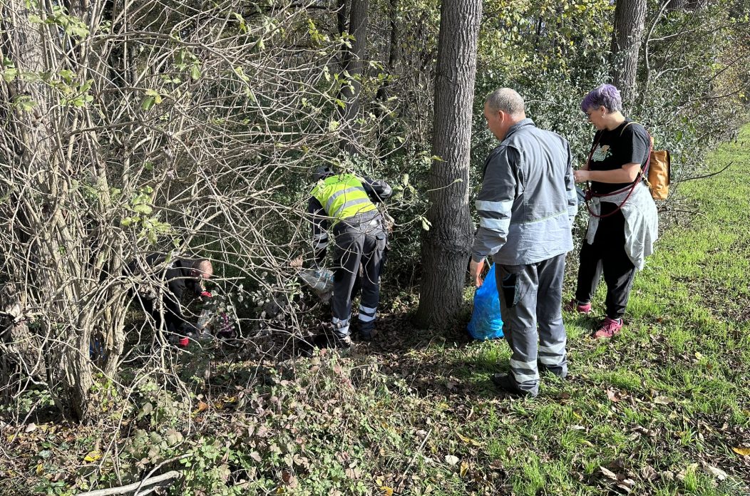 čisteći medvjedići