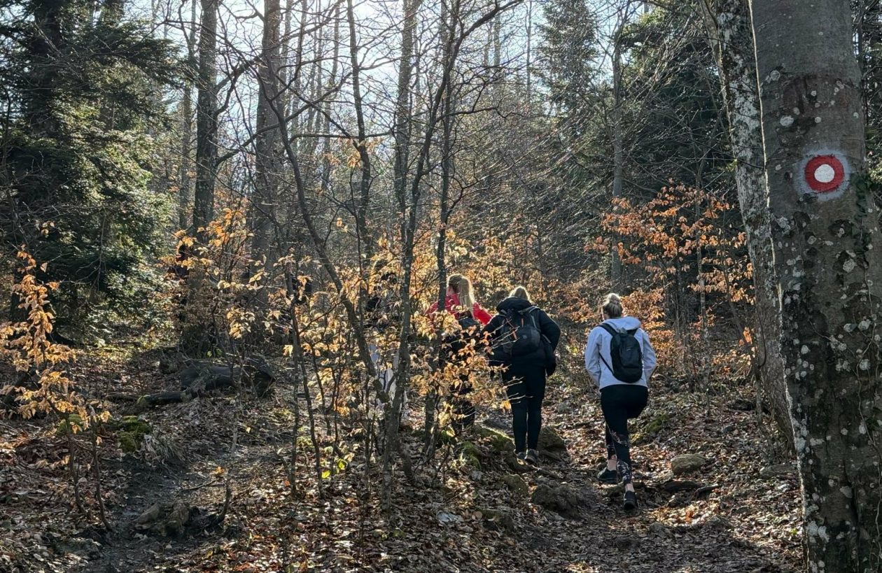 Ivanscica dodatne 10