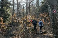 Ivanscica dodatne 10