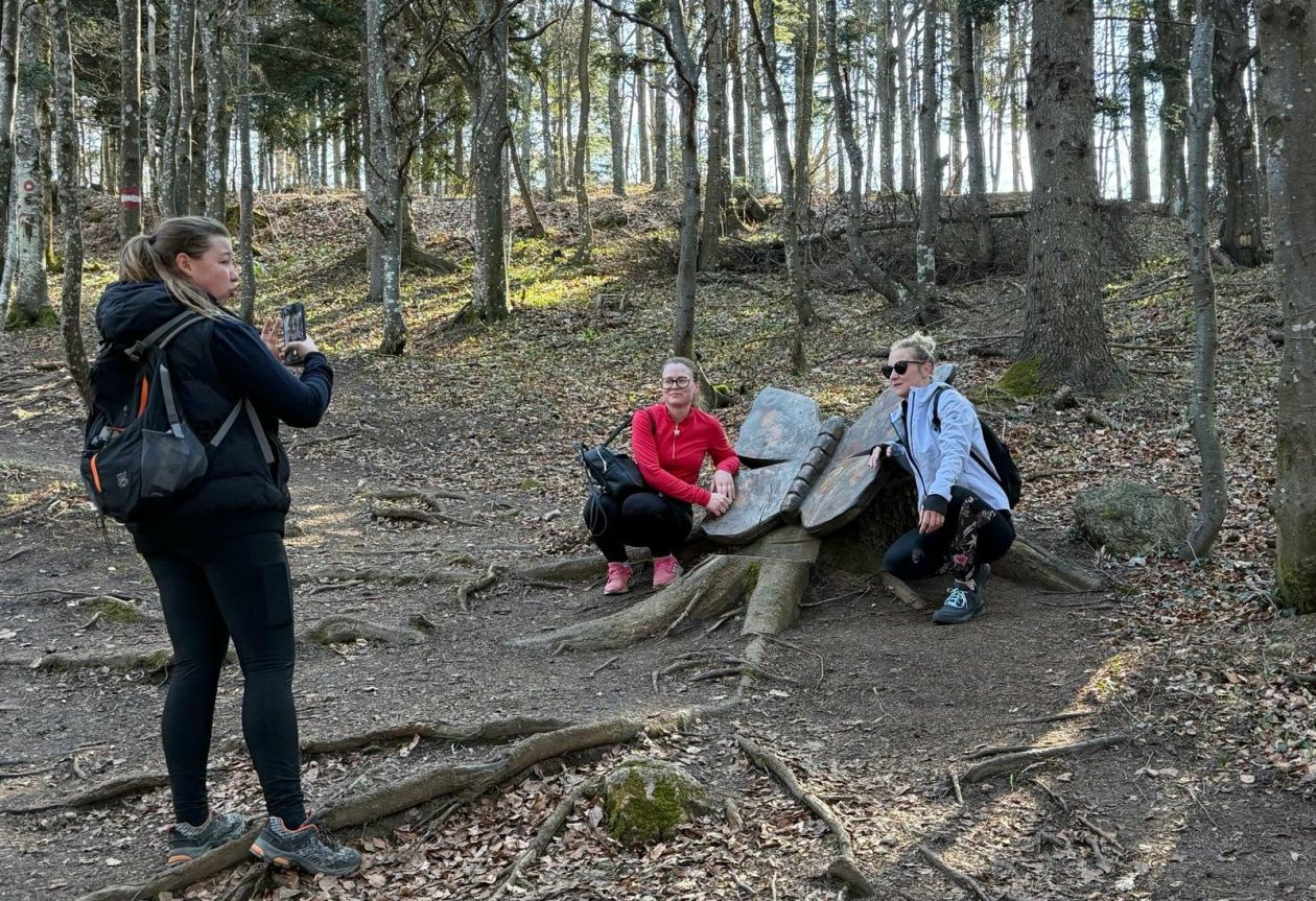 Ivanscica dodatne 11