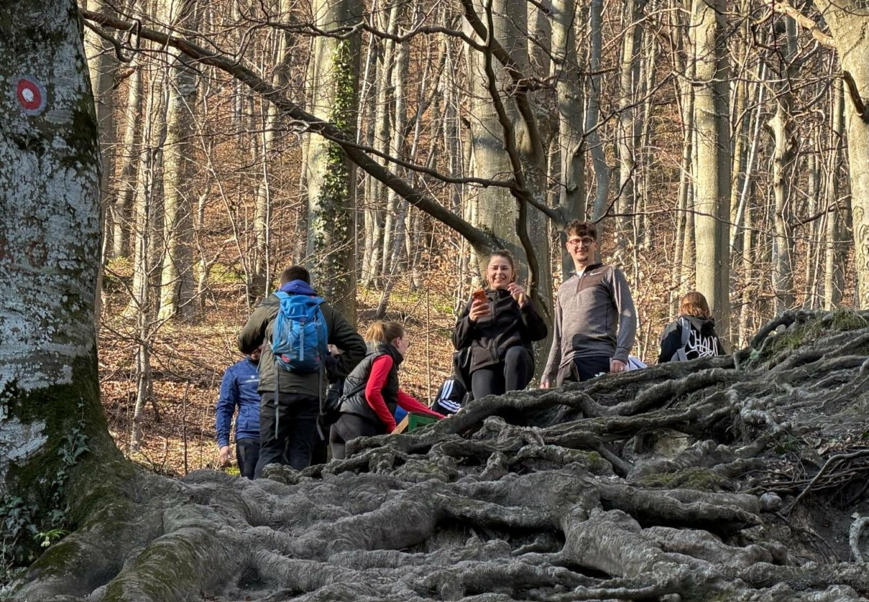 Ivanscica dodatne 12