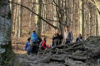 Ivanscica dodatne 12