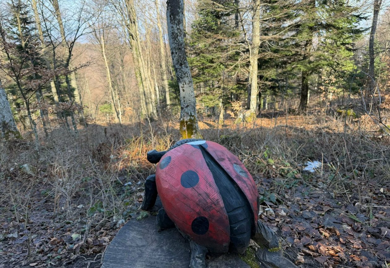 Ivanscica dodatne 13