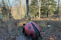 Ivanscica dodatne 13