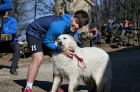 Ivanscica_park_prirode (10)