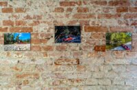 Izložba P4 – Moj život s Dravom FB Media (2)