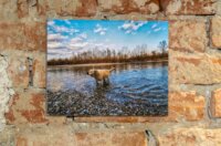 Izložba P4 – Moj život s Dravom FB Media (26)