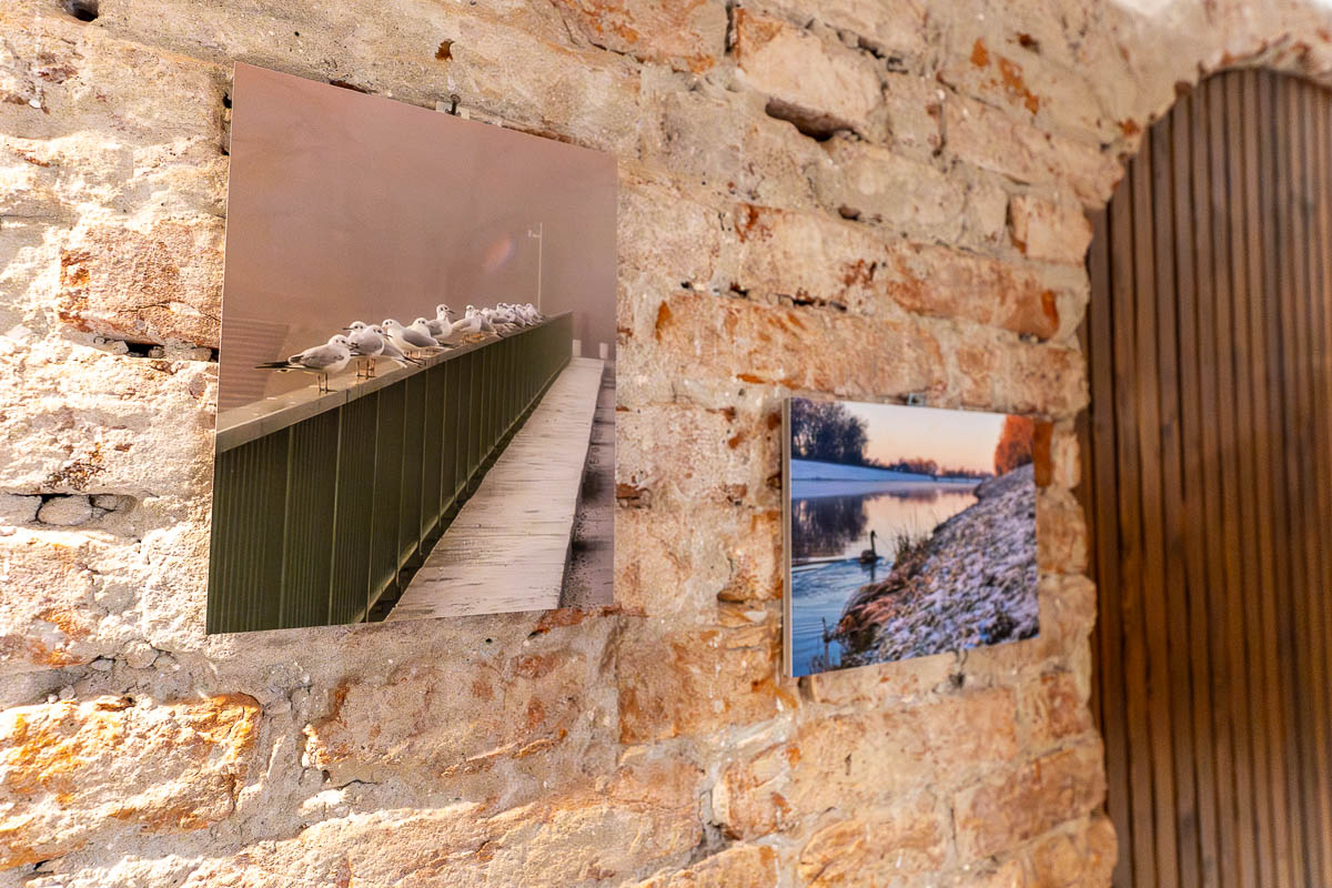 Izložba P4 – Moj život s Dravom FB Media (7)