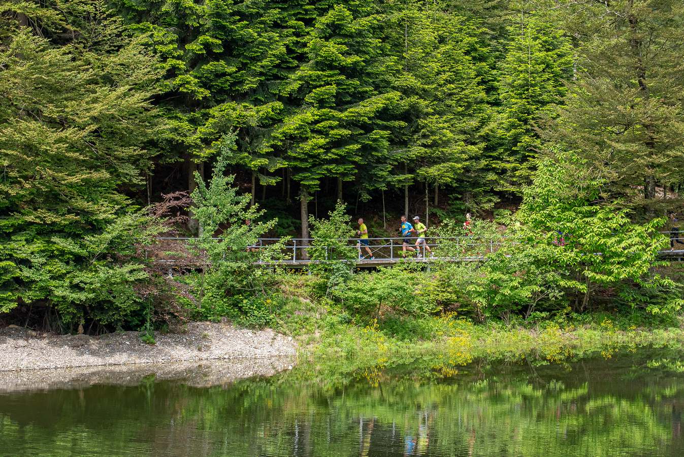 Lucky trail Trakošćan 2025 (31) Lucky trail Trakošćan 2025 (31)