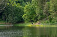 Lucky trail Trakošćan 2025 (32) Lucky trail Trakošćan 2025 (32)