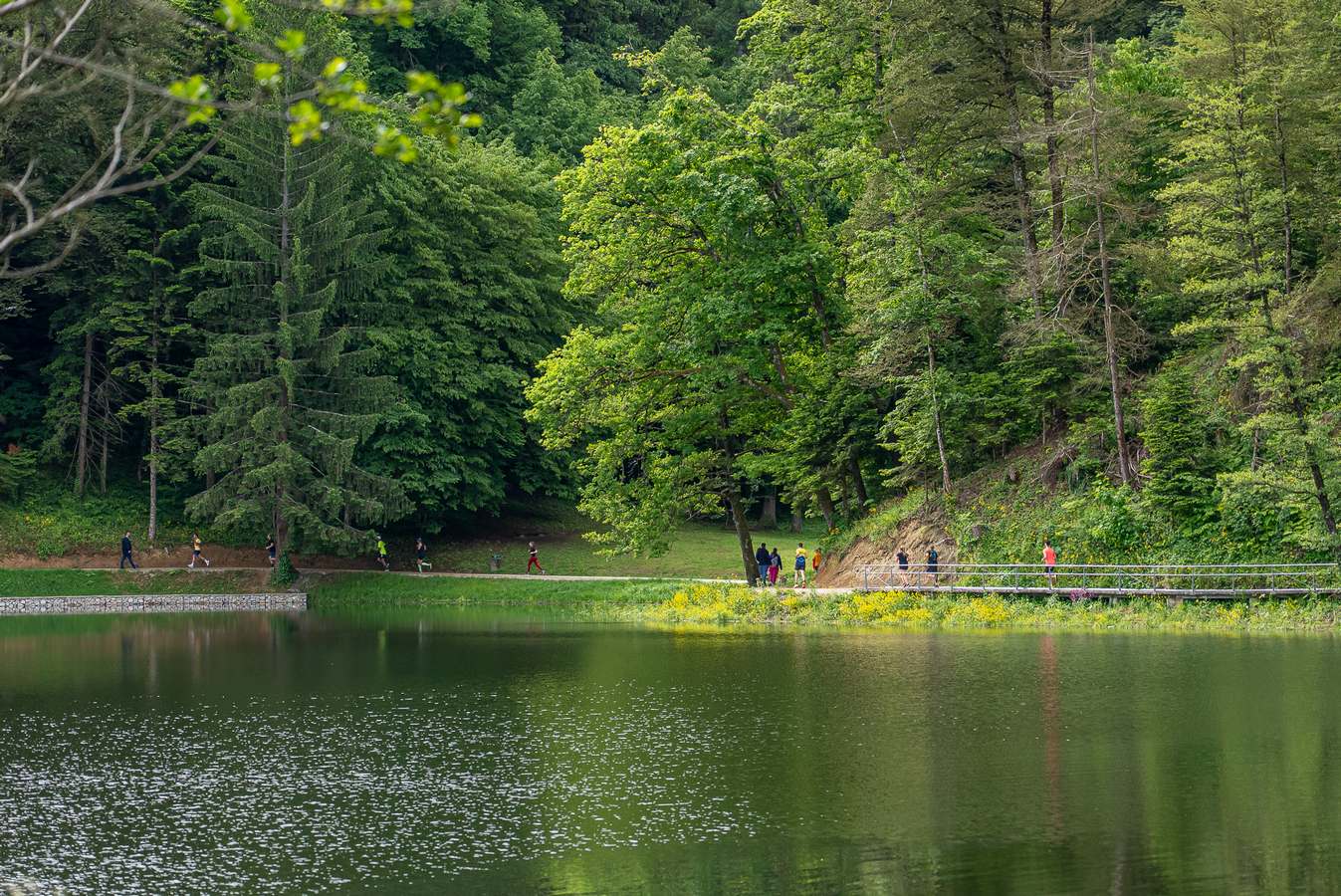 Lucky trail Trakošćan 2025 (32) Lucky trail Trakošćan 2025 (32)