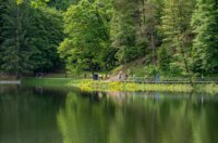 Lucky trail Trakošćan 2025 (33) Lucky trail Trakošćan 2025 (33)