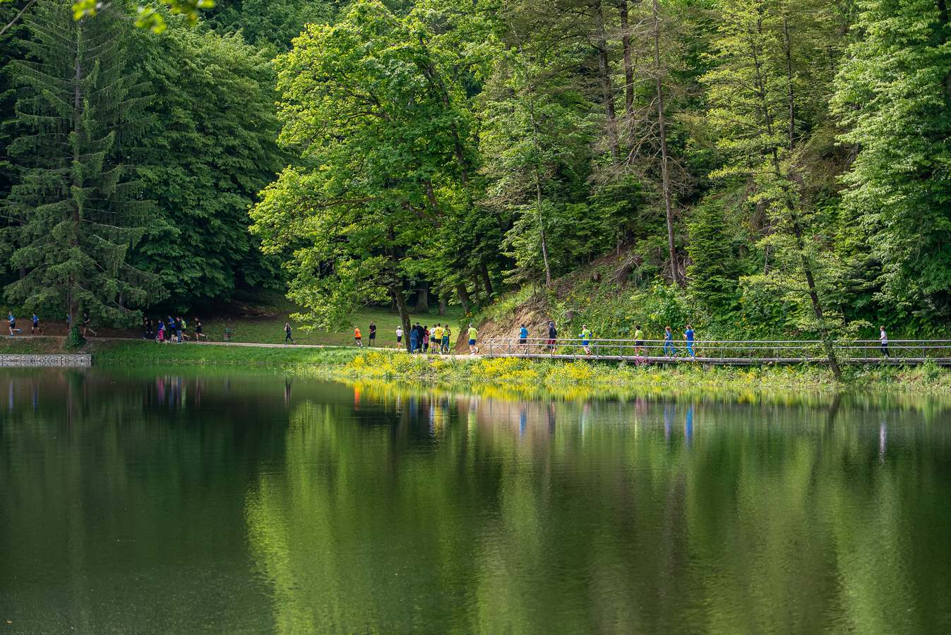 Lucky trail Trakošćan 2025 (33) Lucky trail Trakošćan 2025 (33)