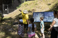 _MG_3310m