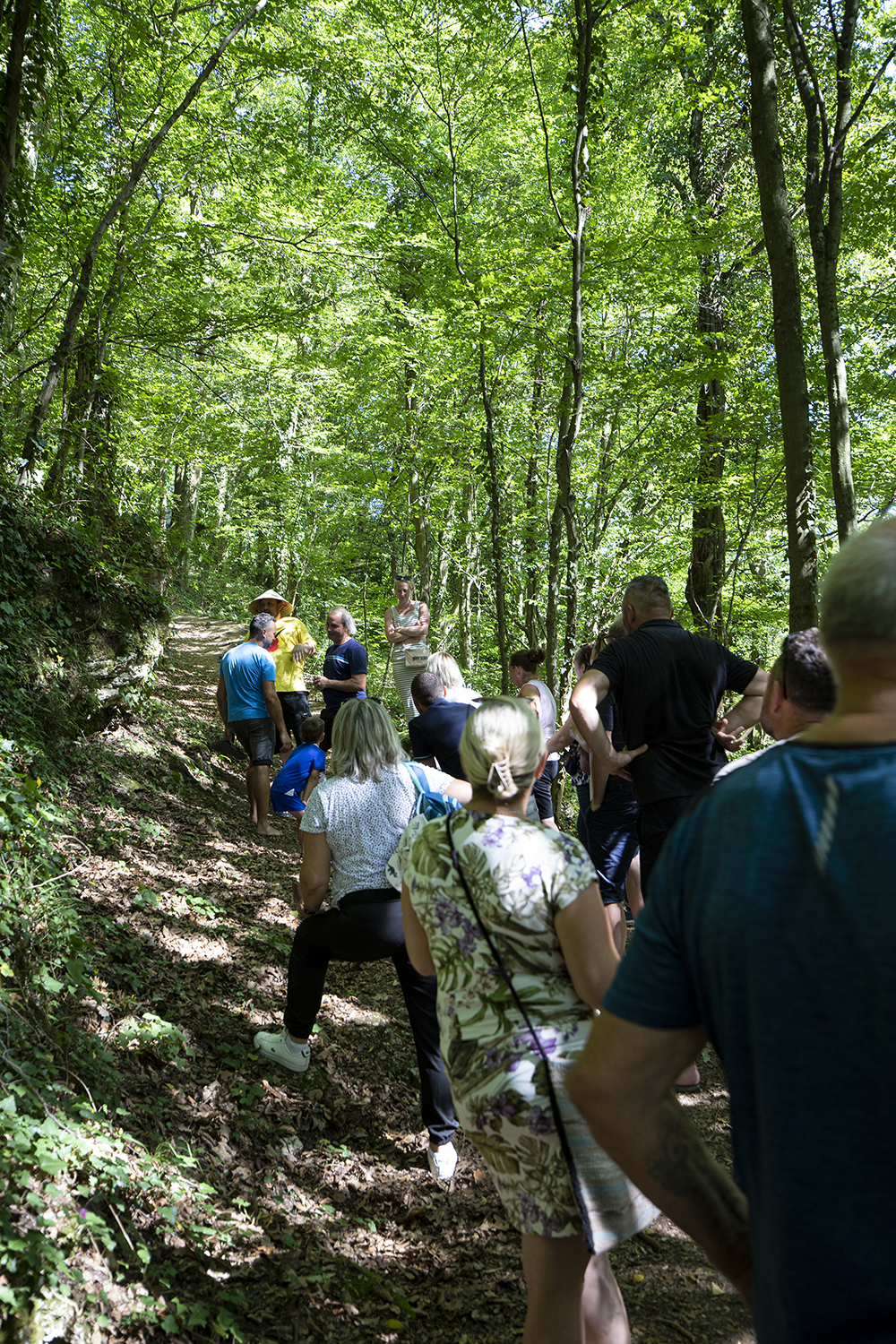 _MG_3334m