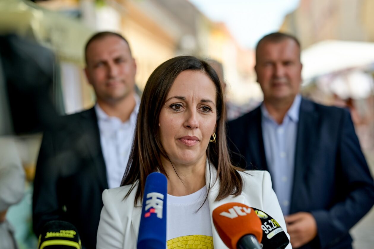 Ministar_Vlajcic (25)