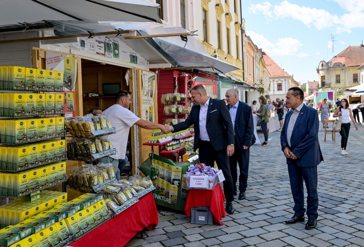 Ministar_Vlajcic (6)