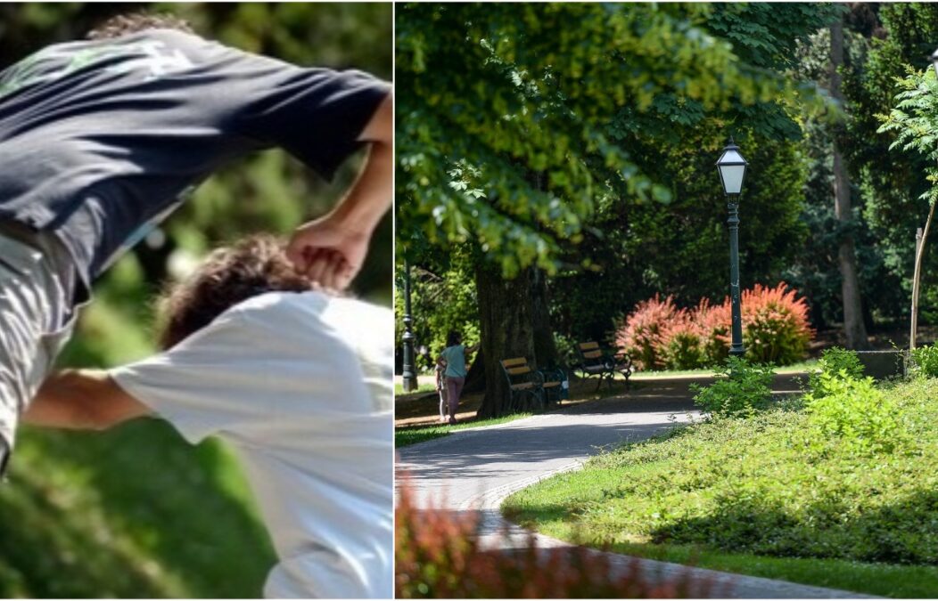 tučnjava park vatroslava jagića