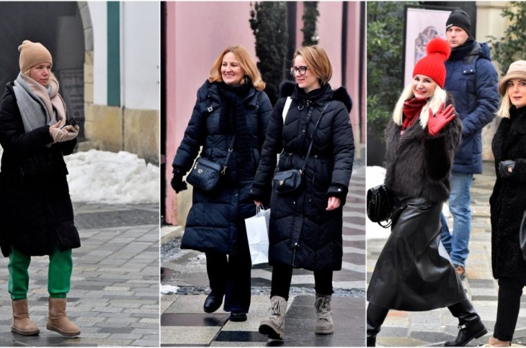 MixCollage-17-Jan-2026-02-33-PM-397