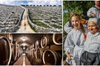 MixCollage-25-Jan-2026-10-02-AM-6814