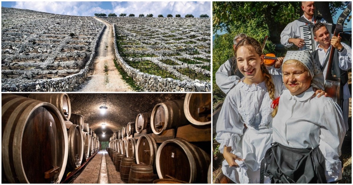 MixCollage-25-Jan-2026-10-02-AM-6814