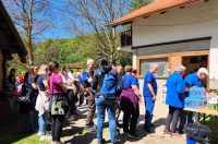 Novi Marof, Zelena čistka (20)