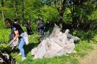 Novi Marof, Zelena čistka (22)