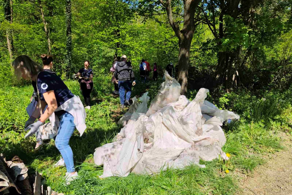 Novi Marof, Zelena čistka (22)