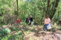 Novi Marof, Zelena čistka (3)