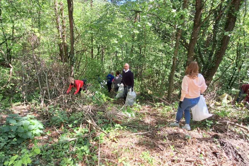 Novi Marof, Zelena čistka (3)