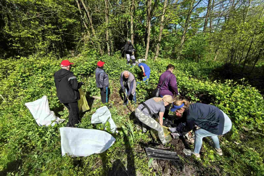Novi Marof, Zelena čistka (7)