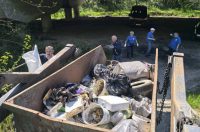 Novi Marof, Zelena čistka (8)